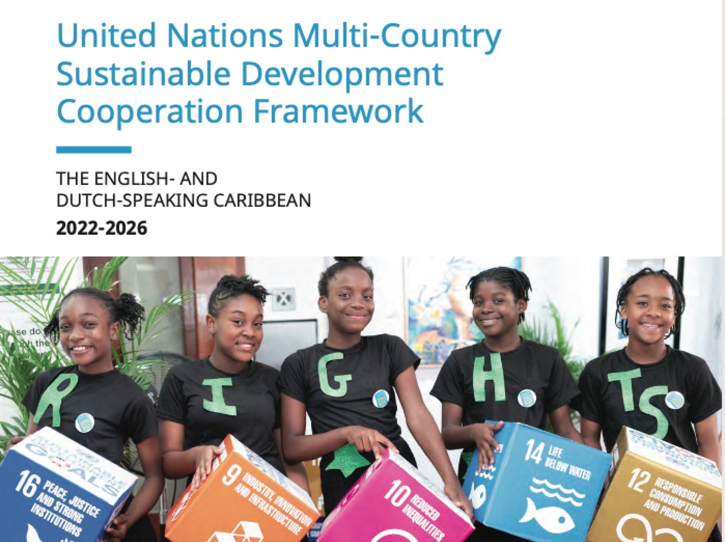 The Multi-Country Sustainable Development Cooperation Framework (MSDCF) 