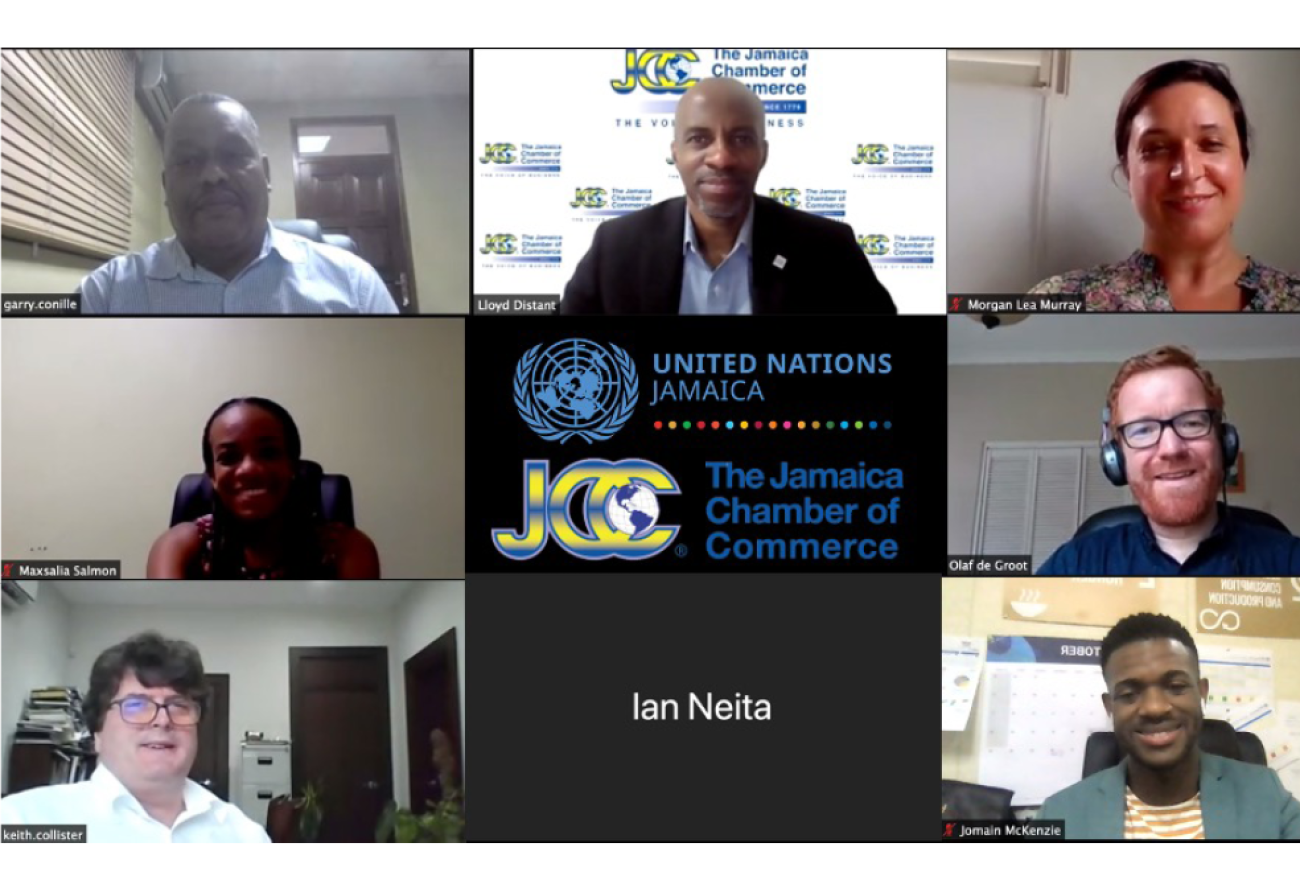 A screengrab of the virtual meeting of the United Nations Resident Coordinator Office and the Jamaica Chamber of Commerce team.  