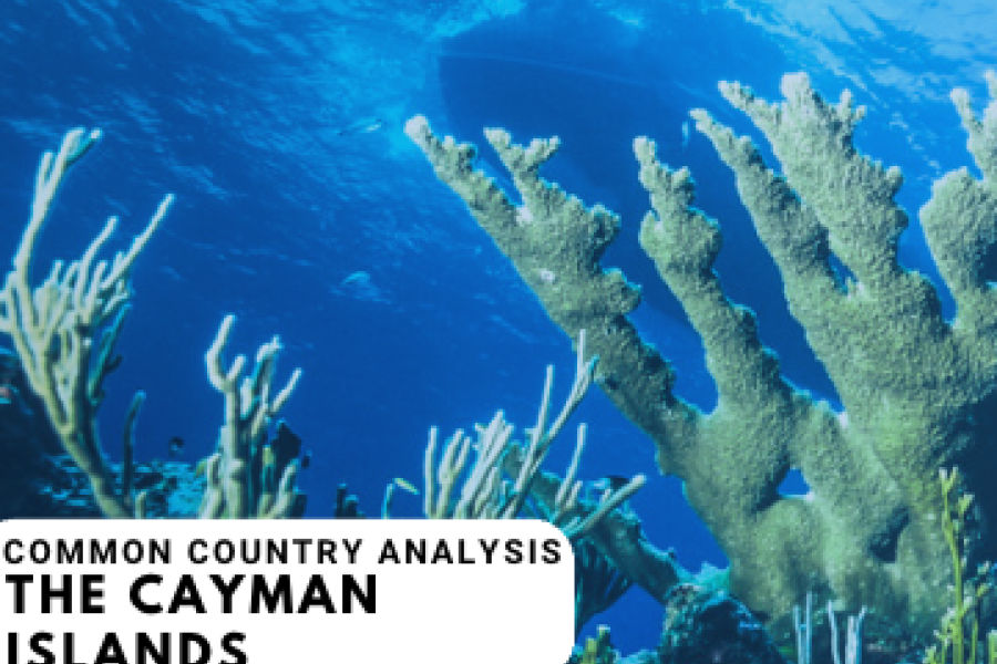 United Nations Common Country Analysis Of The Cayman Islands 2022   CAY 