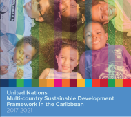 UN MSDF Framework Cover Page 2017 2021