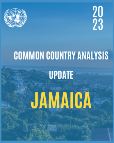 Jamaica 2023 Common Country Analysis Update