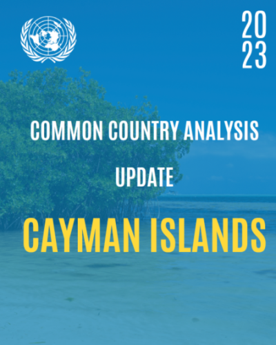 The Cayman Islands Common Country Analysis Update 2023