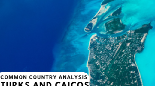 United Nations Common Country Analysis of Turks and Caicos (2022)