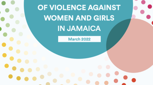 National Study on the Economic Costs of Violence Against Women and Girls in Jamaica Report
