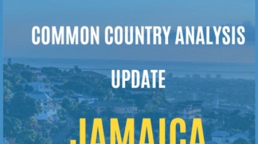 Jamaica 2023 Common Country Analysis Update