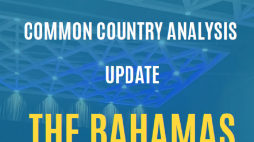 The Bahamas Common Country Analysis Update 2023