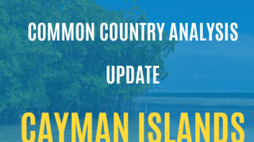 The Cayman Islands Common Country Analysis Update 2023