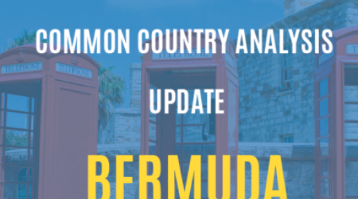 Bermuda Common Country Analysis Update 2023